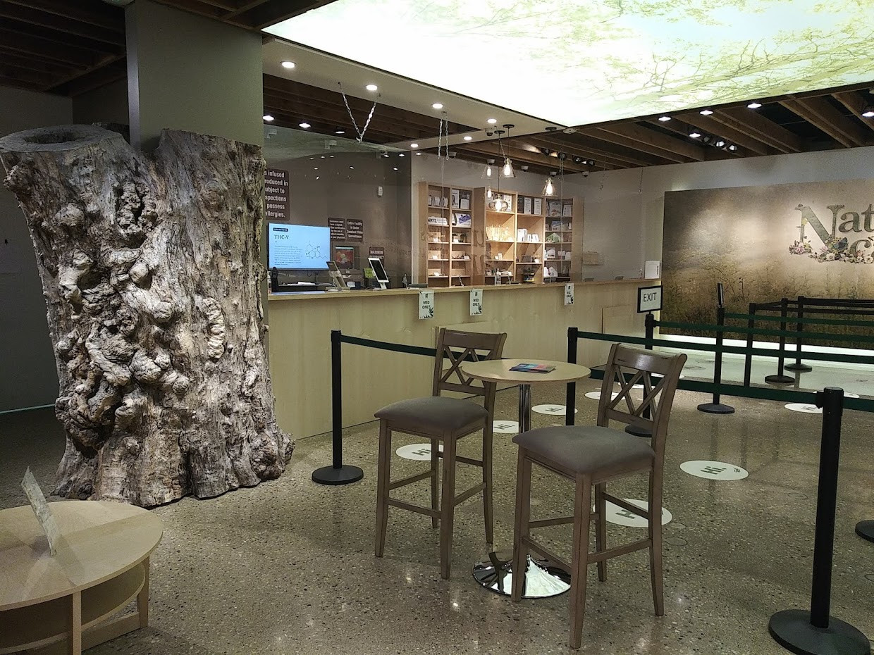 Dispensaries Near Me the Best Recreational Dispensaries